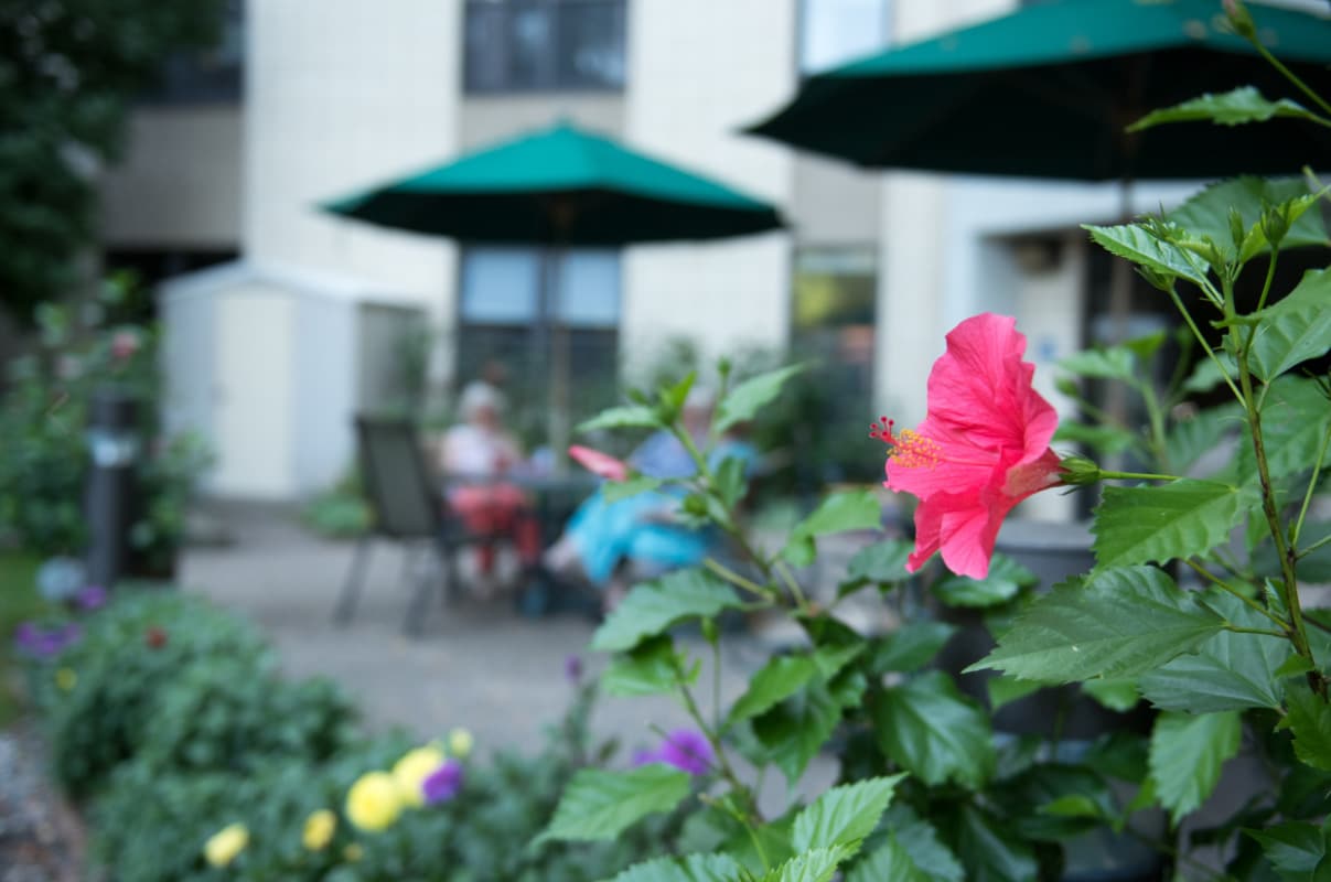 Senior Housing Minneapolis MN Nokomis Square Cooperative