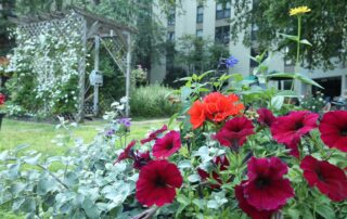 Nokomis Square Gardens 2022 Learning Garden Tour